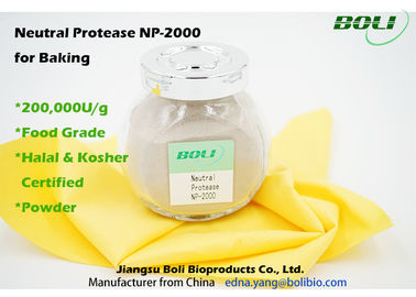 200000 U / g Protease Neutral Protease สำหรับทำเบเกอรี่, เอนไซม์เกรดอาหารในการชง Non-GMO