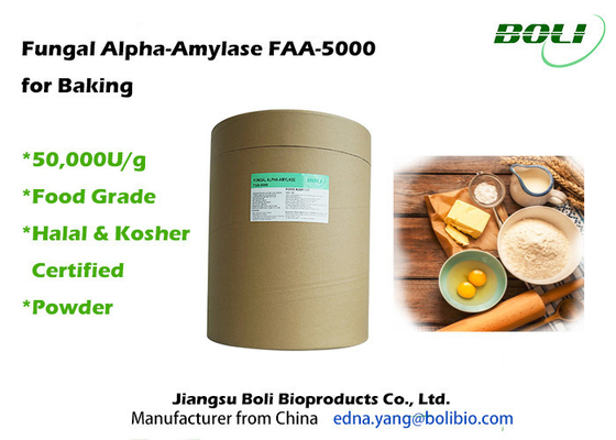 เชื้อรา Alpha-Amylase FAA-5000 สำหรับการอบ 50,000U/g Alpha Amylase Powder