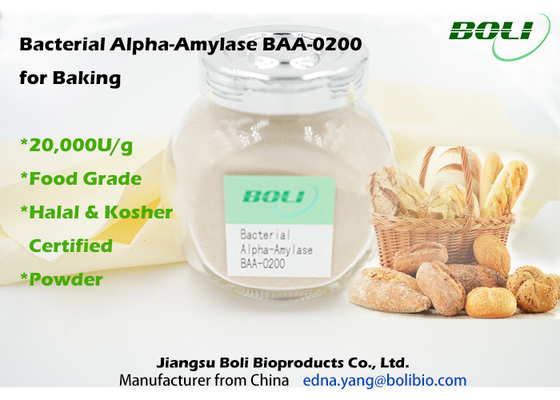 แบคทีเรียอัลฟาอะไมเลส BAA-0200 สำหรับการอบ 20000U/G ในอาหาร
