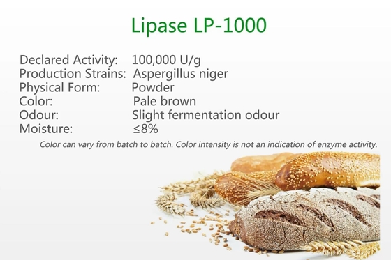 ไลเปส LP-1000 Baking Enzymes Hydrolysis Powder