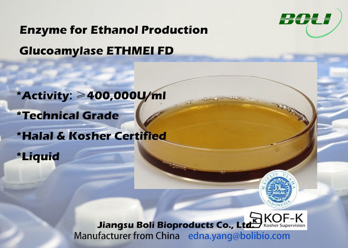 เอนไซม์ Glucoamylase กิจกรรมสูง ETHMEI FD สำหรับการผลิตเอทานอล